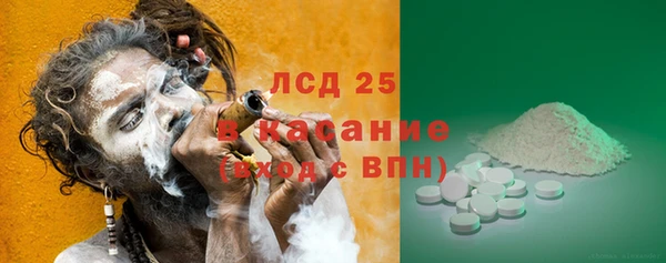 PSILOCYBIN Кулебаки