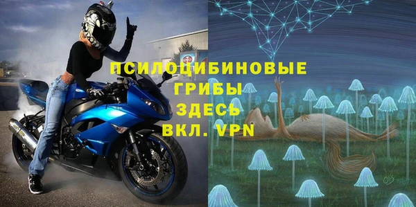 PSILOCYBIN Кулебаки