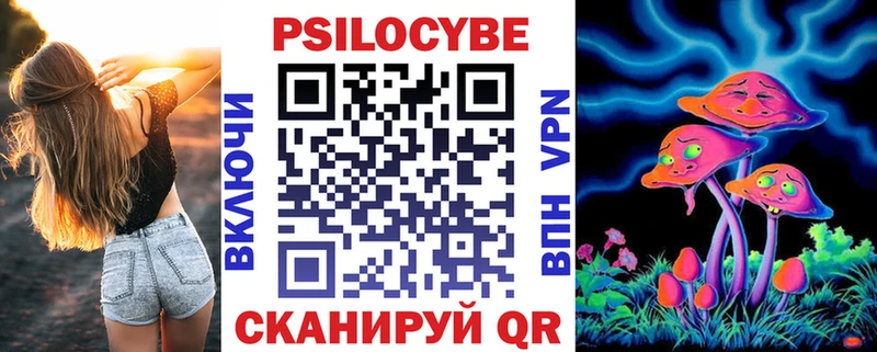 наркота  Дмитровск  Псилоцибиновые грибы Psilocybe 